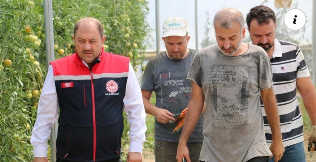 ERZİNCAN’DA DOMETES ÜRETİMİ ERZİNCANI VE ÇEVRE İLLERİ BESLİYOR…