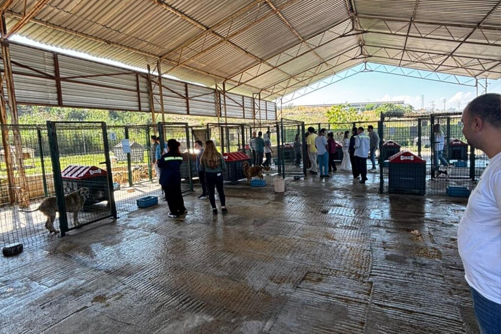 Geçici Bakımevi, Akkim Gönüllülerini Konuk Etti