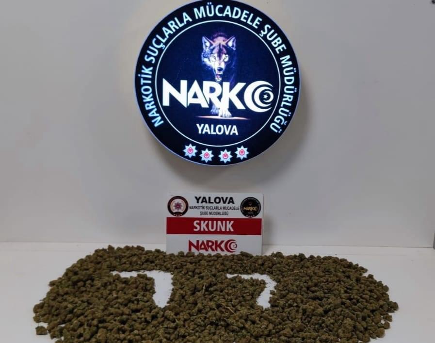 YALOVA DA NARKOTİK ÇALIŞMLAR