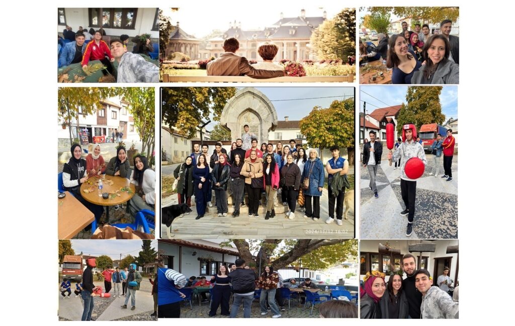 Uluslararası kadın ve toplumsal Gelişim Derneği sosyal medyadan sosyalleşmeye’ projesi kapsamında etkinliklerine devam etmekte.