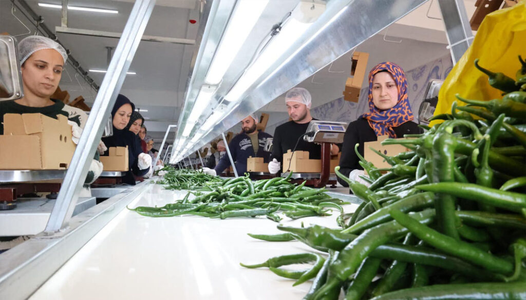 Antalya Büyükşehir Belediyesi israfı önlüyor, yerel üreticiyi destekliyor! – Birlik Haber Ajansı