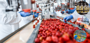 Gıda İşleme ve Pazarlama Sektörüne 527,1 milyon lira hibe verilecek – Birlik Haber Ajansı