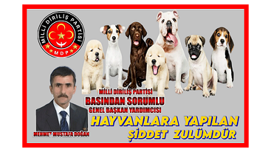 Hayvan Hakları ve Korunması: