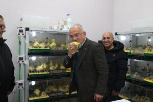 Ordu’da kaz yetiştiriciliği artıyor – Birlik Haber Ajansı