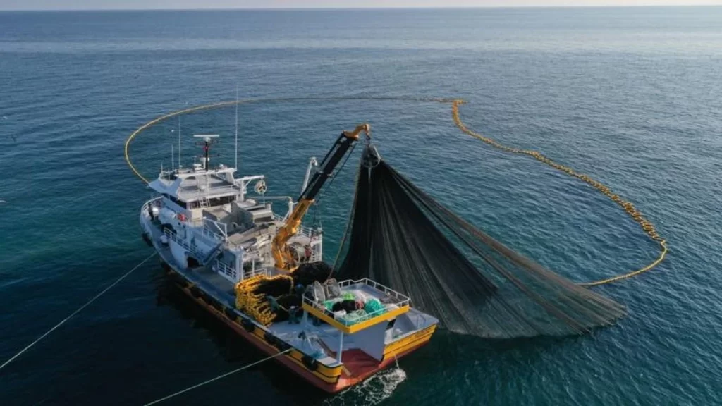 Doğu Karadeniz’in su ürünleri ihracatı 5 ayda 69,8 milyon doları aştı – Birlik Haber Ajansı