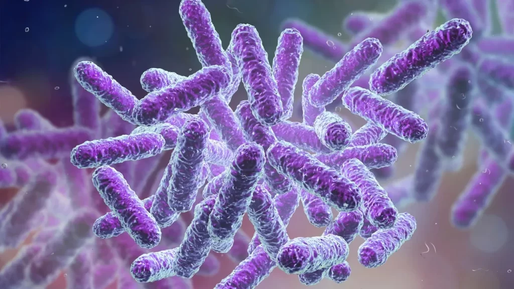 Mikroskobik mucize: Oregon’da elektrik ileten bakteri keşfedildi – Birlik Haber Ajansı