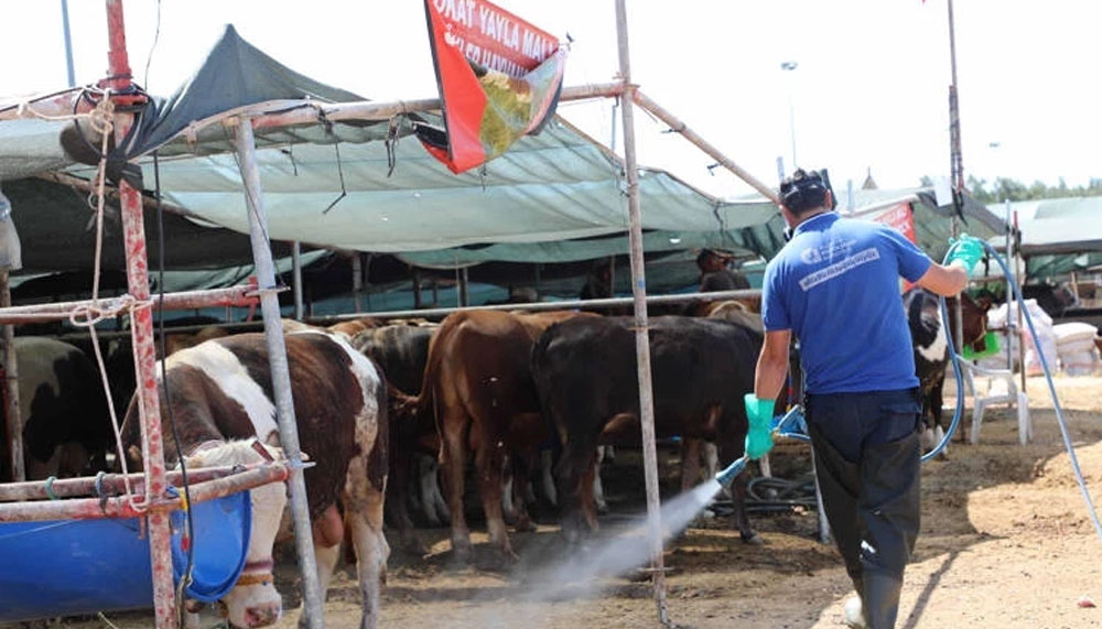Antalya Büyükşehir kurban satış noktalarını ilaçlıyor – Birlik Haber Ajansı