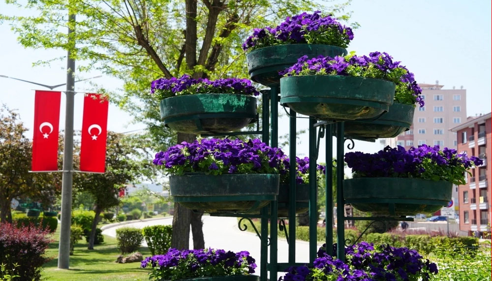 Eskişehir’de refüjler çiçeklerle renklendi – Birlik Haber Ajansı