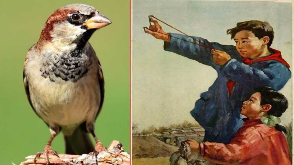 BGSAM Yazarı Berna Kaya’dan “Bir Ekolojik Felaketin Anatomisi” yazısı – Birlik Haber Ajansı