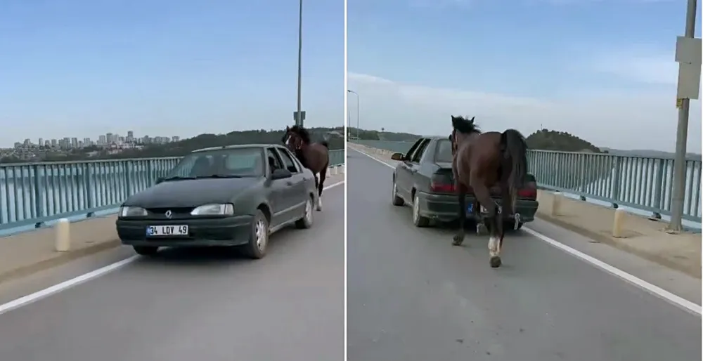 Otomobile bağladığı at ile ilerleyen 2 kişi gözaltına alındı – Birlik Haber Ajansı
