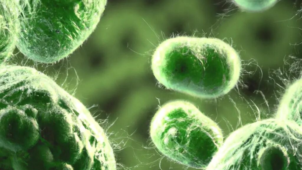 Süper bakteriye karşı umut: Yeni antibiyotik insan denemelerinde son aşamaya geçti – Birlik Haber Ajansı