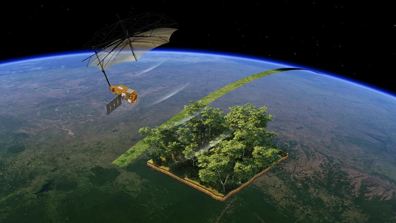 ESA’dan uzayda “Orman MR’ı”: Biomass uydusu karbon takibi için görevde – Birlik Haber Ajansı