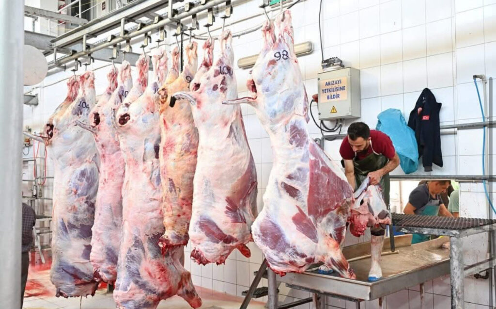 Mezbahada 250 büyükbaş kurban kesimi gerçekleştirildi – Birlik Haber Ajansı