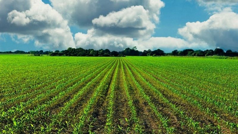 Tarım ve Kırsal Kalkınma hibeleriyle 70,3 milyon euroluk yatırım gerçekleştirildi – Birlik Haber Ajansı