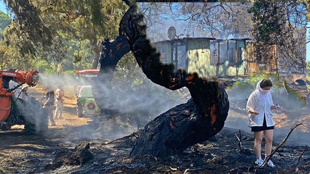 Kahramanlık ve gözyaşı: Antalya’daki yangında hem yürekler hem orman yandı – Birlik Haber Ajansı