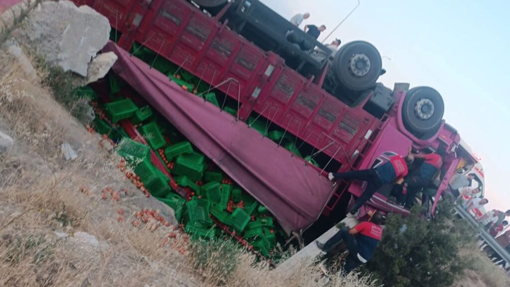 Domates yüklü kamyon dereye uçtu, sürücü ağır yaralı – Birlik Haber Ajansı