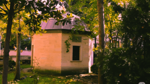 Osmangazi’de tarihi bir hazine: Bedreddin Mahmud Pars Türbesi – Birlik Haber Ajansı