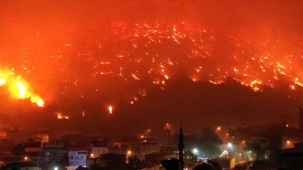 Bursa’da orman yangınları sürüyor: Sabotaj şüphesiyle 1 kişi gözaltına alındı – Birlik Haber Ajansı