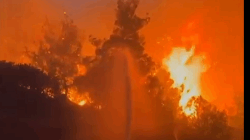 Türkiye’de 5 günde 342 yangın: 6 noktada alevler sürüyor – Birlik Haber Ajansı