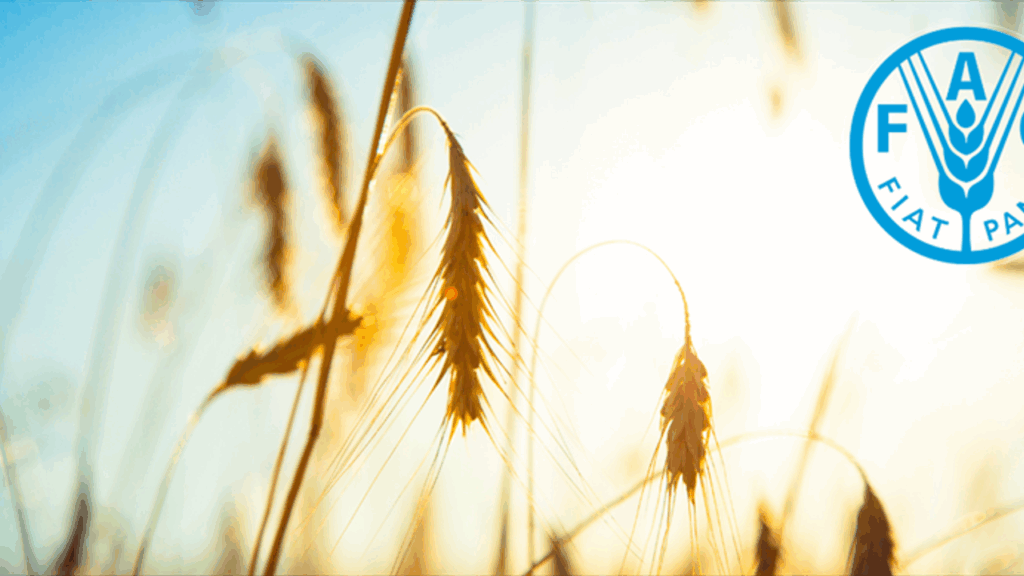 Türkiye, FAO üst yönetiminde – Birlik Haber Ajansı