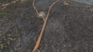 Uşak’taki yangının tahribatı görüntülendi: Türkiye’nin ciğerleri yandı – Birlik Haber Ajansı