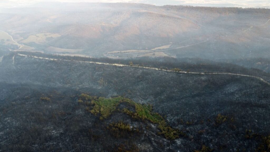 Gelibolu’daki yangından etkilenen köylerde hasar tespit çalışmaları sürüyor – Birlik Haber Ajansı