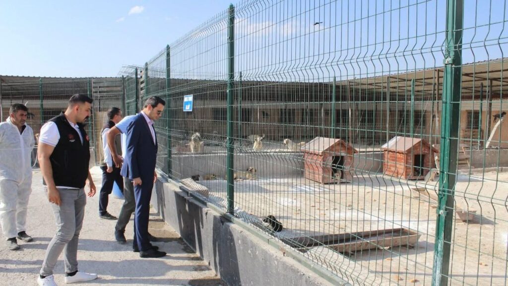 Selim Kaymakamı Mehmet Ali Semiz’den hayvan barınağına ziyaret – Birlik Haber Ajansı