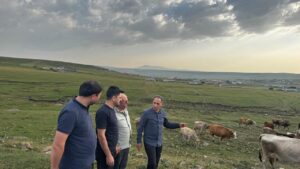 Hayvancılık yetkilileri Kars’ta incelemelerde bulundu – Birlik Haber Ajansı
