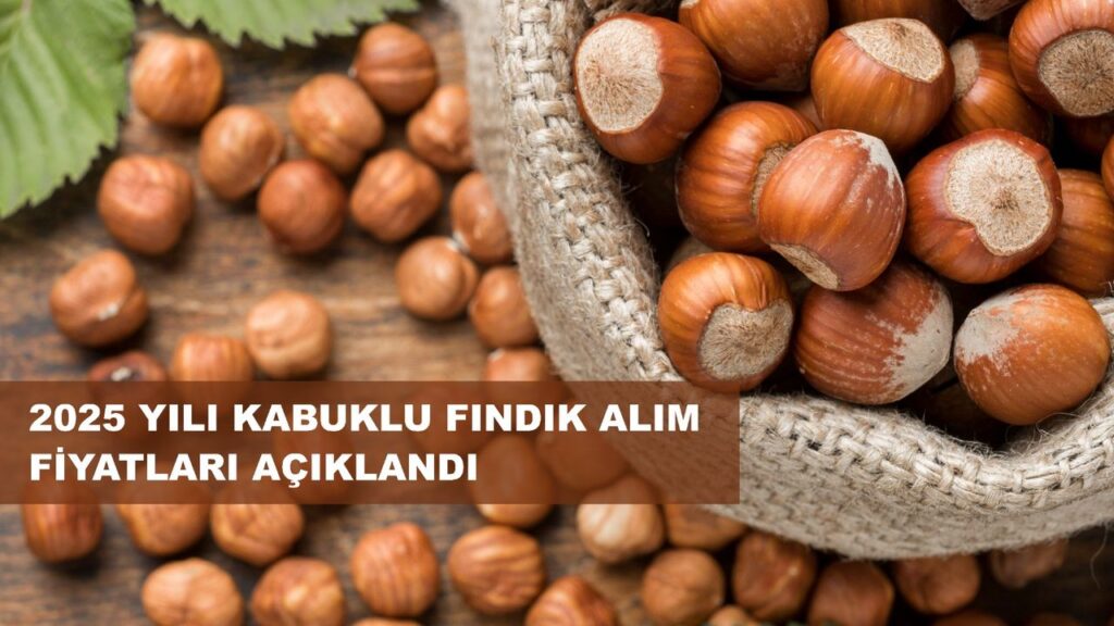 Fındık Taban Fiyatı Açıklandı; Fiyat 195 Lira… – Birlik Haber Ajansı