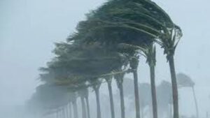 Meteoroloji’den kuvvetli rüzgar uyarısı: İşte bugünün hava durumu