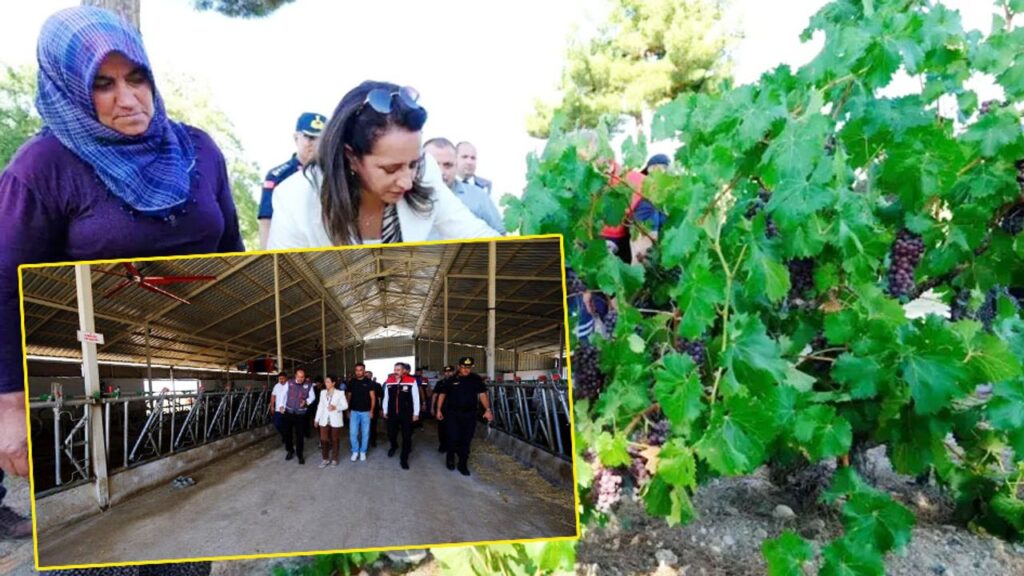 Kemer’de üreticiye destek mesajı: Tarım ve hayvancılık güçlenecek – Birlik Haber Ajansı