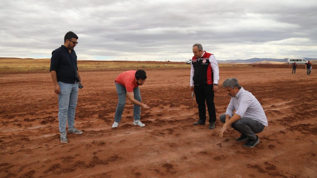 Delice’de tarımsal verim kaybı araştırılıyor – Birlik Haber Ajansı