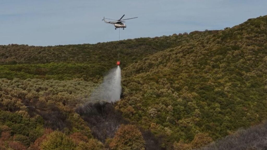 Bursa’da orman yangını kontrol altına alındı – Birlik Haber Ajansı