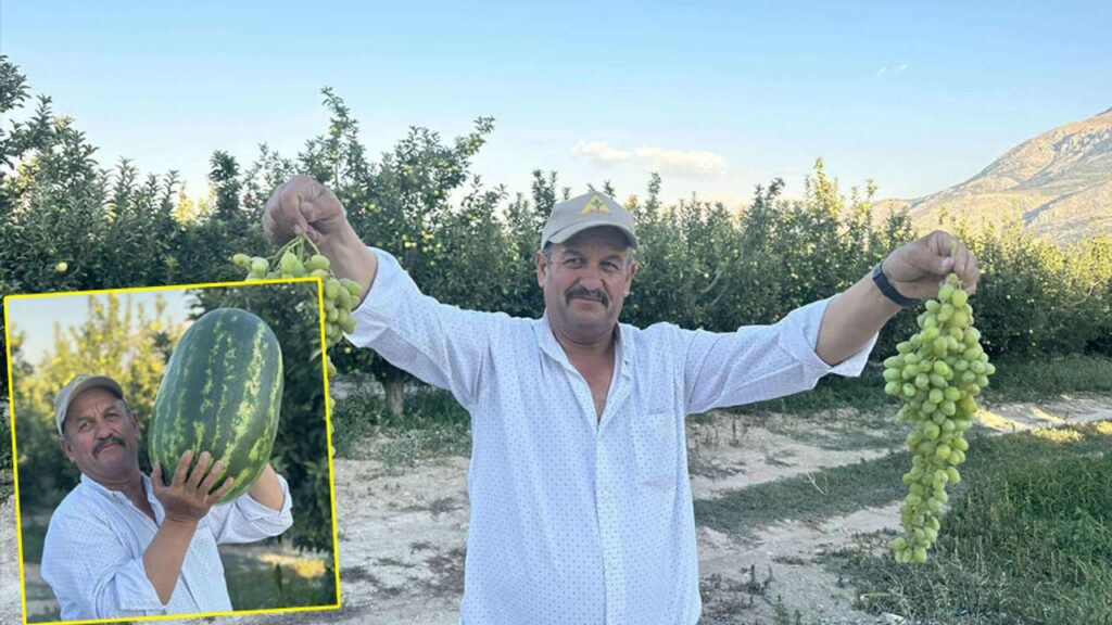 Senirkentli çiftçiler dev karpuzlarla rekor kırıyor – Birlik Haber Ajansı