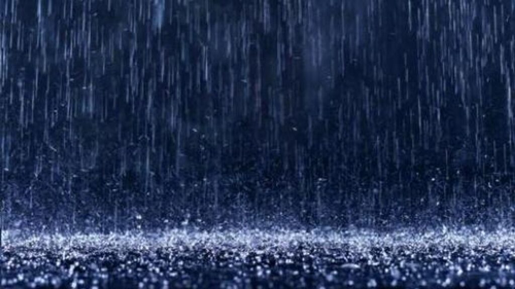 İzmir’de yağışlar barajlara can suyu oldu