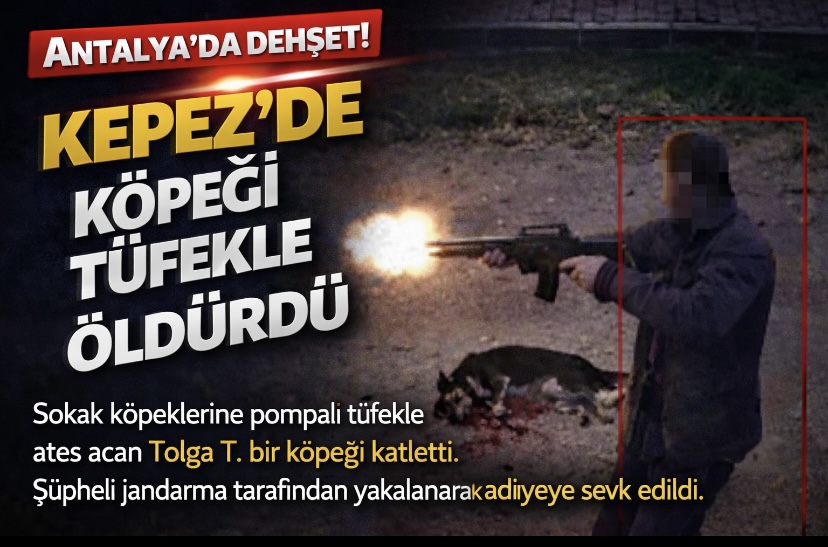 Antalya’da dehşet: Kepez’de köpeği tüfekle öldürdü