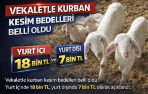 Vekaletle kurban kesim bedelleri belli oldu