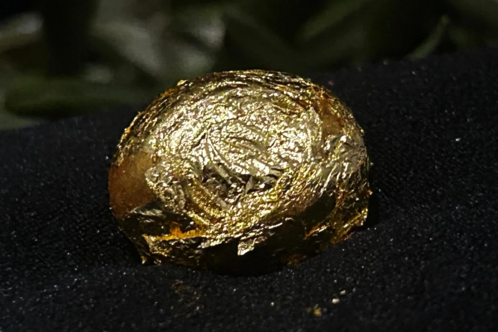 Bursa’da ‘altın zeytin’ görücüye çıktı