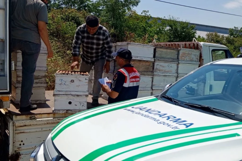 Edirne’de arıcılara önemli uyarı
