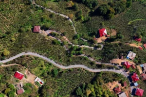 Çatalpınar Maden Mahallesinde asfalt sevinci