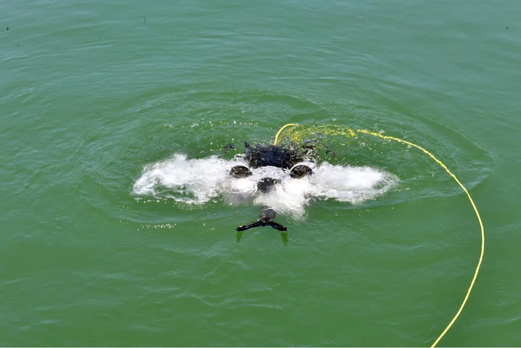 Denizlere dronlu denetim