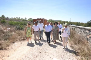 Bursa Nilüfer’de sokak hayvanları için hazırlanan projeye inceleme