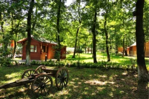 Sakarya’da Yaz kampı için geri sayım başladı