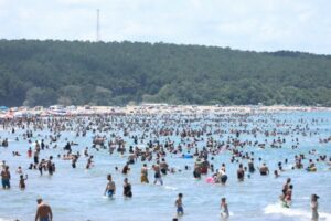 Kocaeli’nin cankurtaranları 227 kişiyi kurtardı